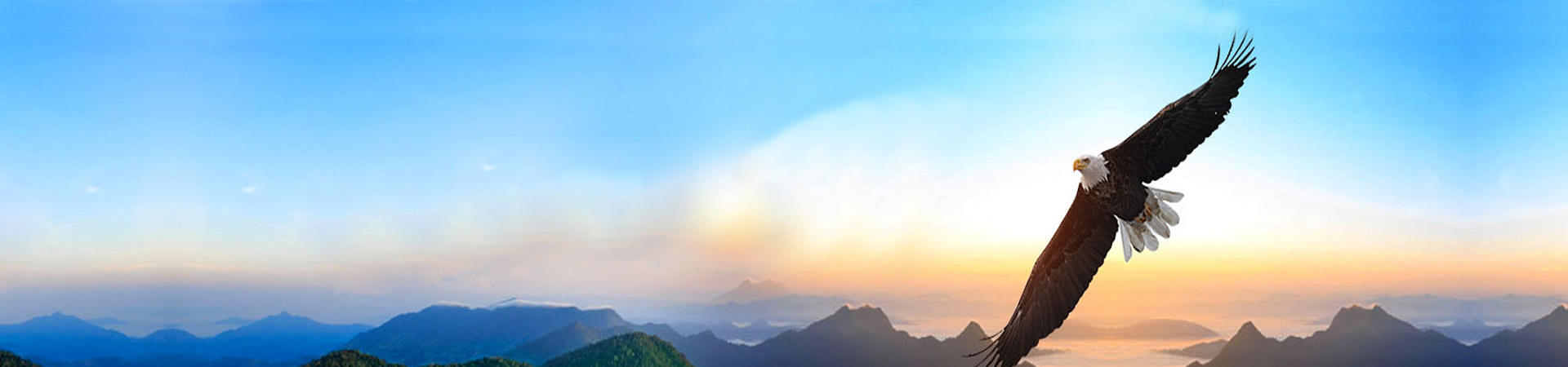 關(guān)于我們 關(guān)于我們